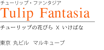 Tulip Fantasia チューリップ・ファンタジア
